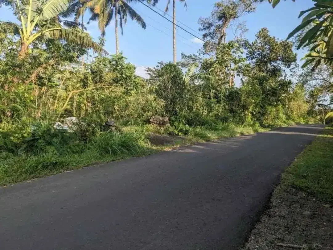 DIJUAL TANAH STRATEGIS DEKAT JATILUWIH TABANAN BALI - Image 4 of 6