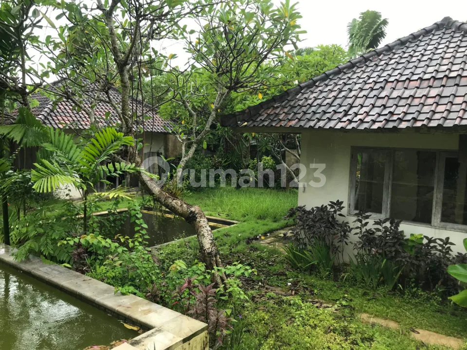 Di Jual Tanah Premium Cocok untuk Villadan Investasi di Jl Batu Belig, Seminyak - Image 3 of 4