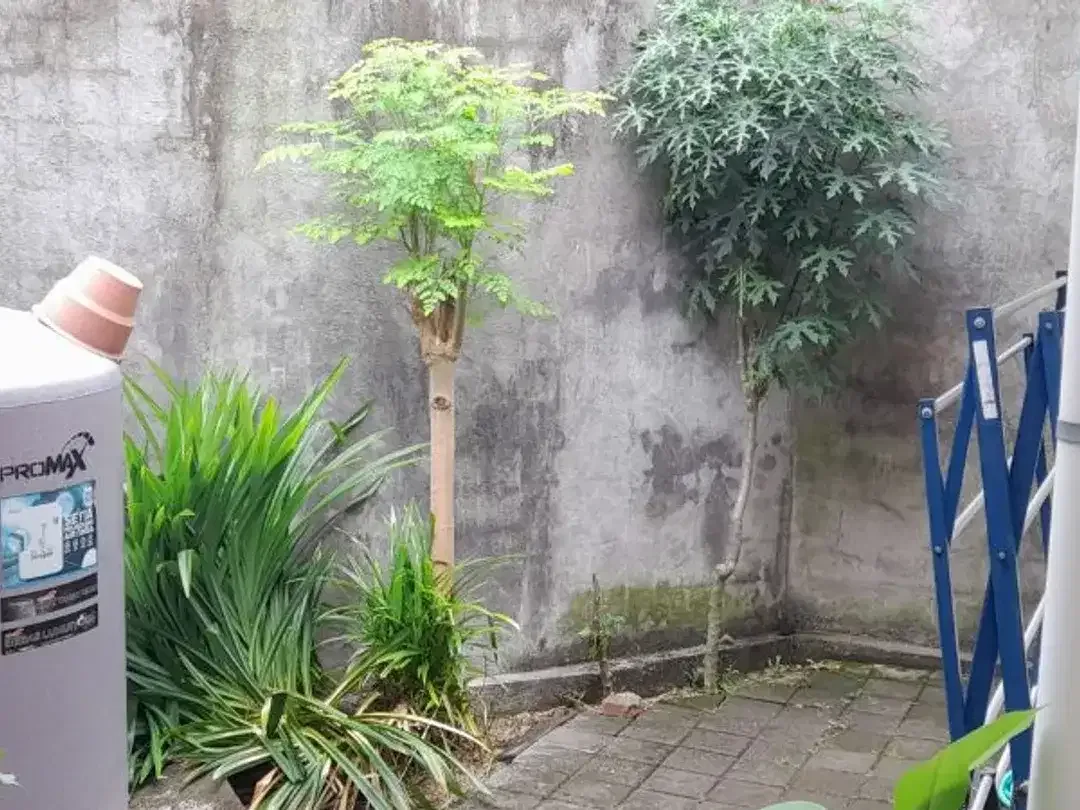 RUMAH 1 LANTAI LOKASI STRATEGIS DI PERUM MALBORO INDAH PADANGSAMBIAN DENPASAR - Image 10 of 10