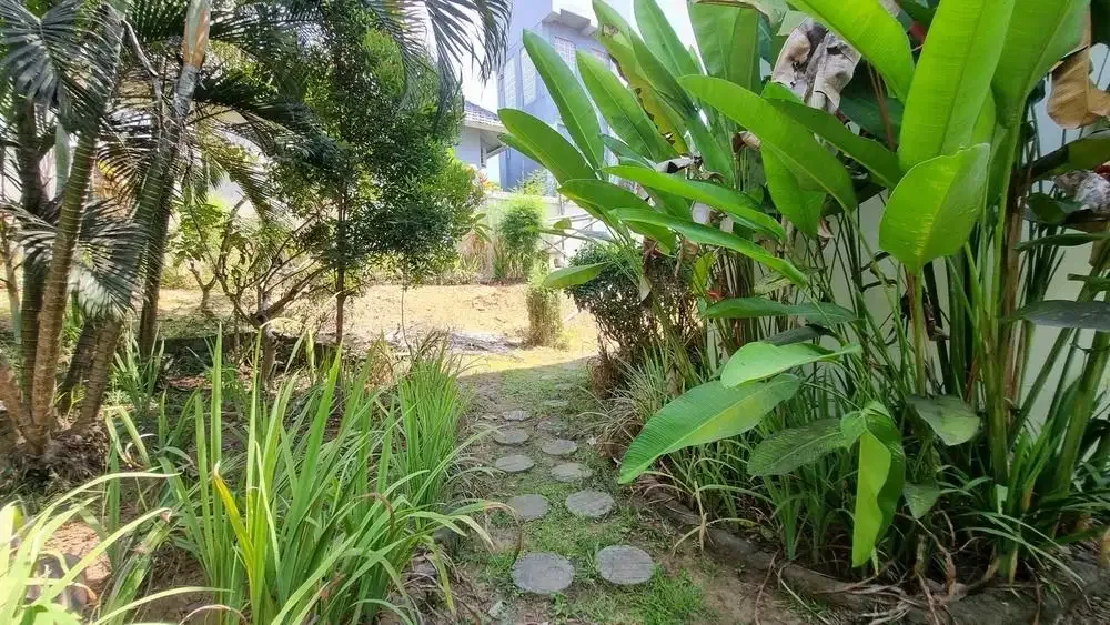 Villa 3 Bedroom yg Luas -hanya 3 menit dari Pantai Saba, Bali - Image 6 of 10