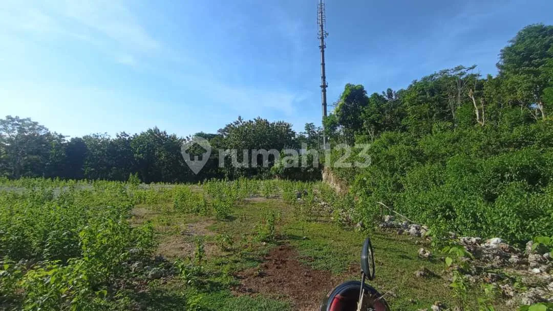 Tanah Murah di Jual Lokasi Pantai Balangan Uluwatu - Image 2 of 3
