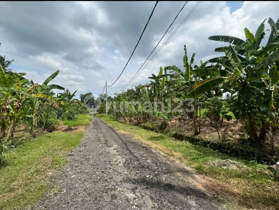 Dijual Tanah View Sawah Lokasi Desa Subamia Dekat Kota Tabanan Bali - Image 3 of 4