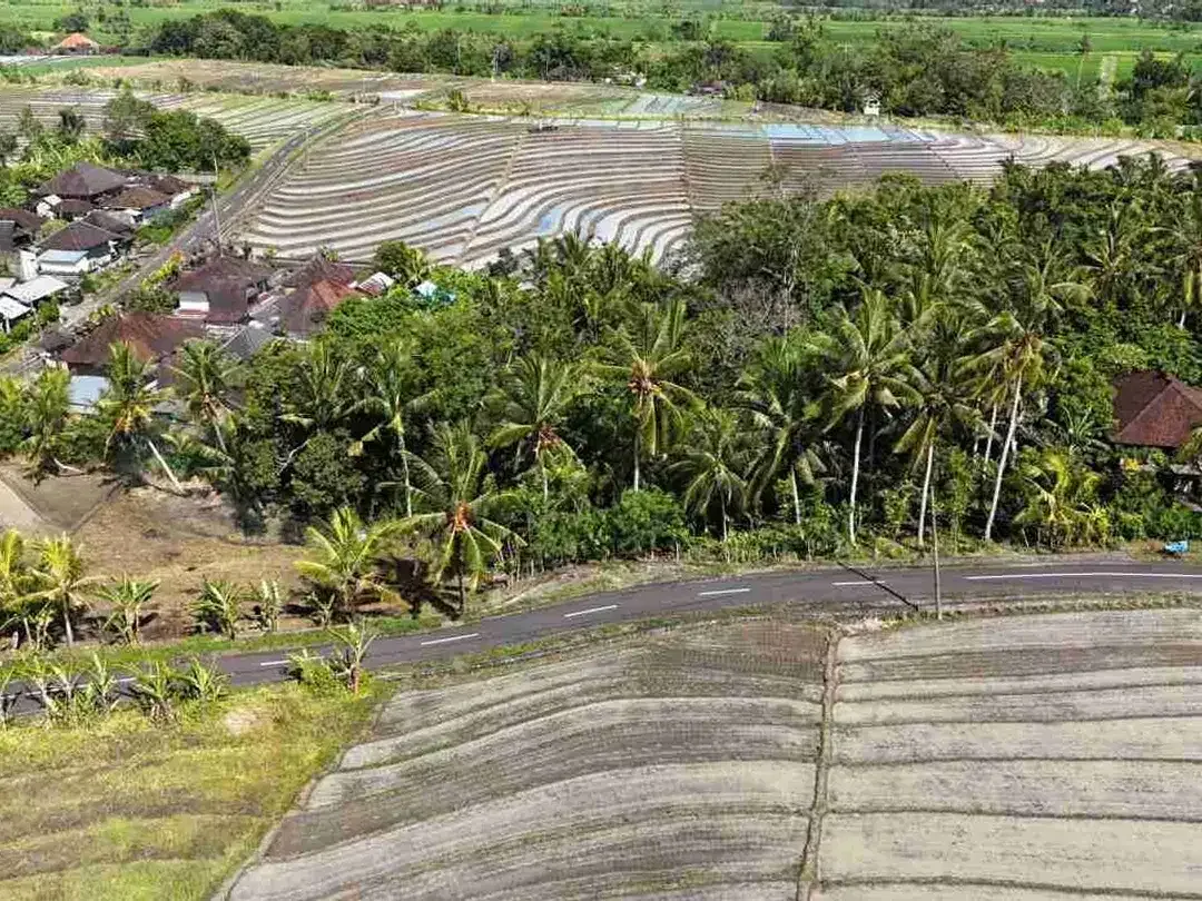 Tanah View Sawah Dekat Pantai Pasut Tabanan - Image 4 of 7