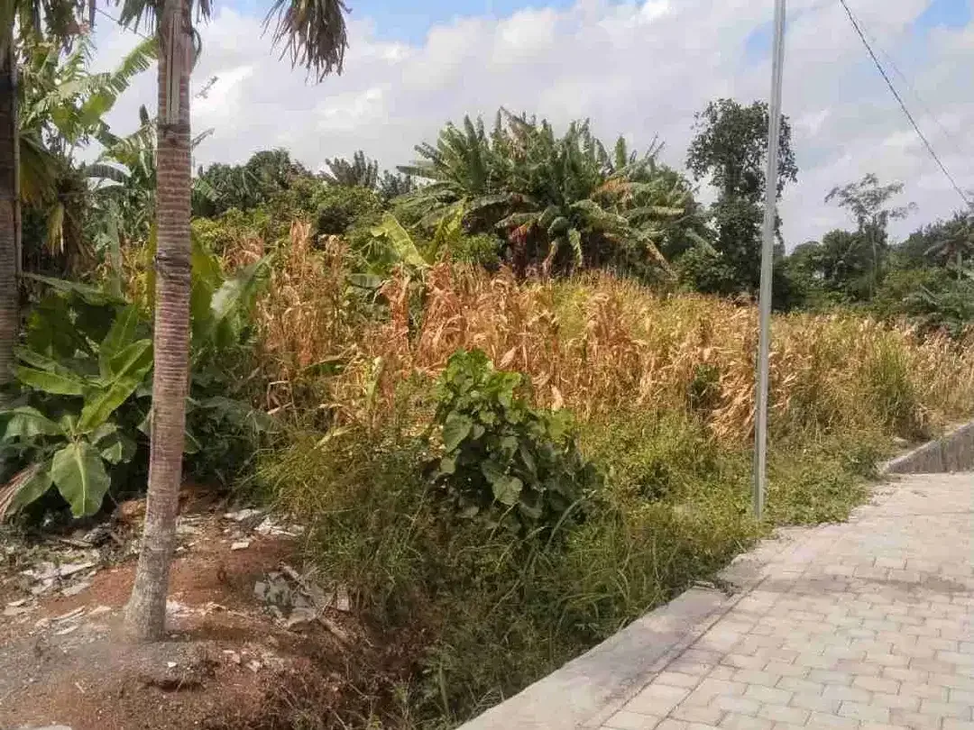 JUAL TANAH KAPLING PREMIUM DEKAT RUMAH SAKIT HERMINA DAN PUSPEM BALI - Image 5 of 6
