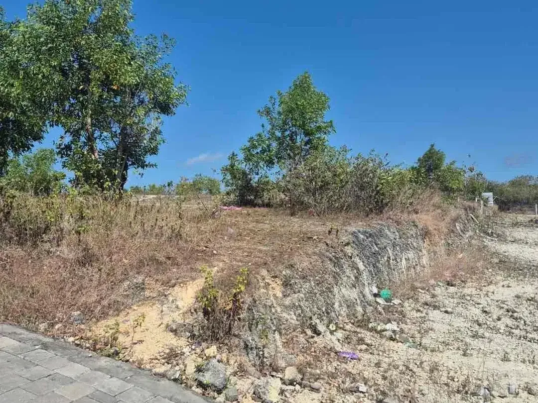 Lahan kosong harga di bawah pasaran lokasi Ungasan dengan View patung GWK - Image 6 of 7