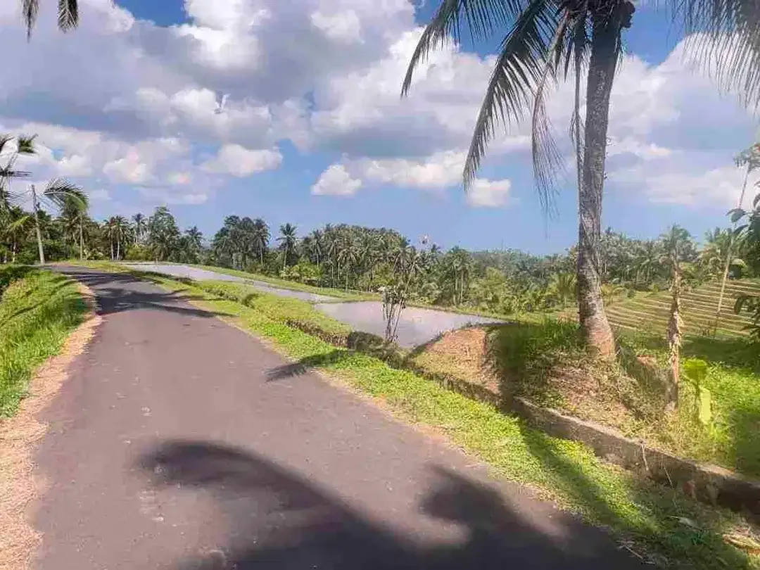 jual tanah kebun luas kecil los sungai di selemadeg tabanan bali. - Image 7 of 8