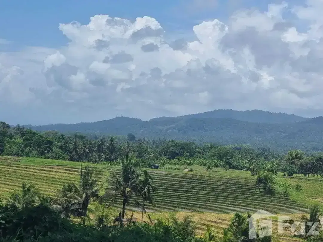 Land for sale in Selemadeg, Bali - Image 7 of 10