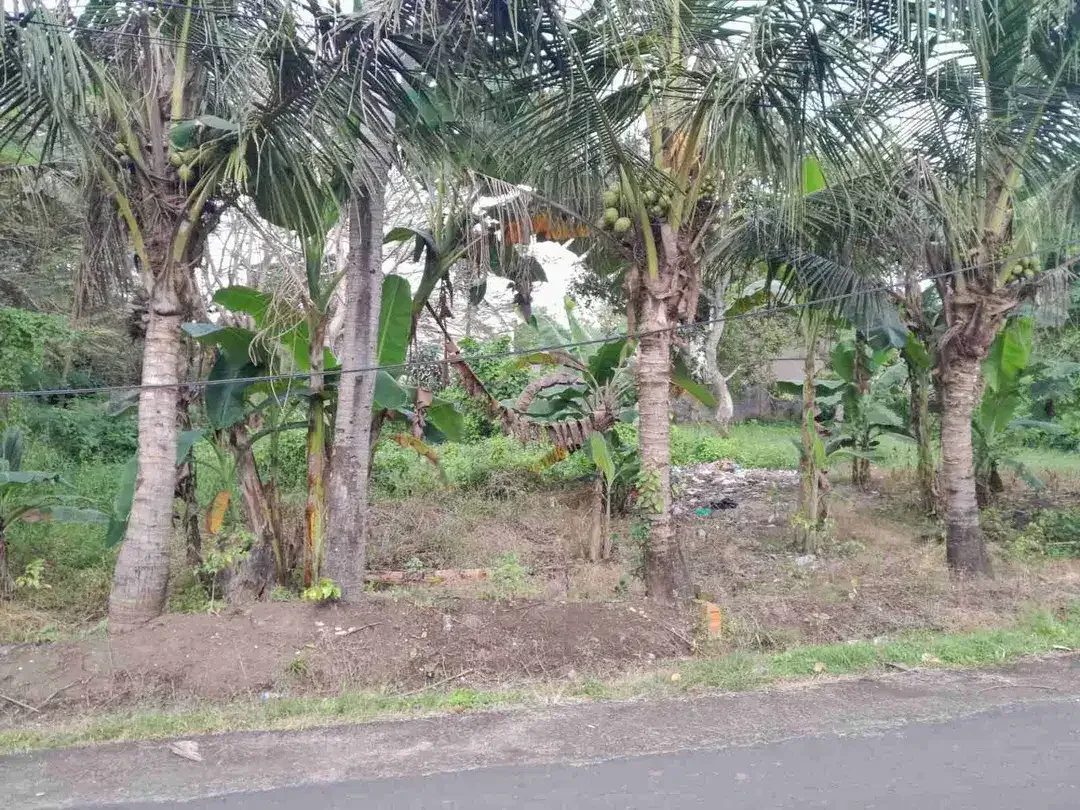 Tanah 195m2 di kaba- kaba Lingk Villa - Image 2 of 9