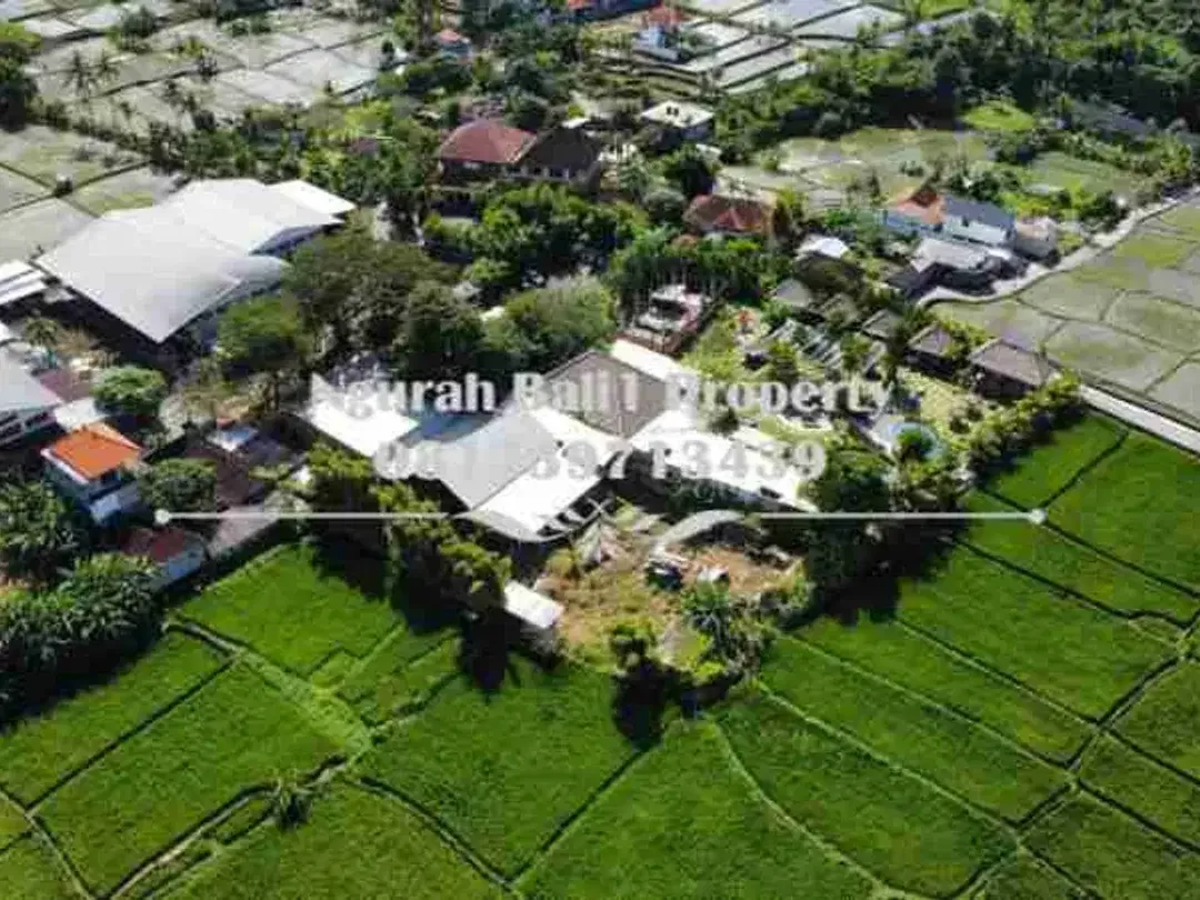 Land For Rent Murah 2160 m2 View Sawah Kawasan Villa di Ubud - Image 3 of 6
