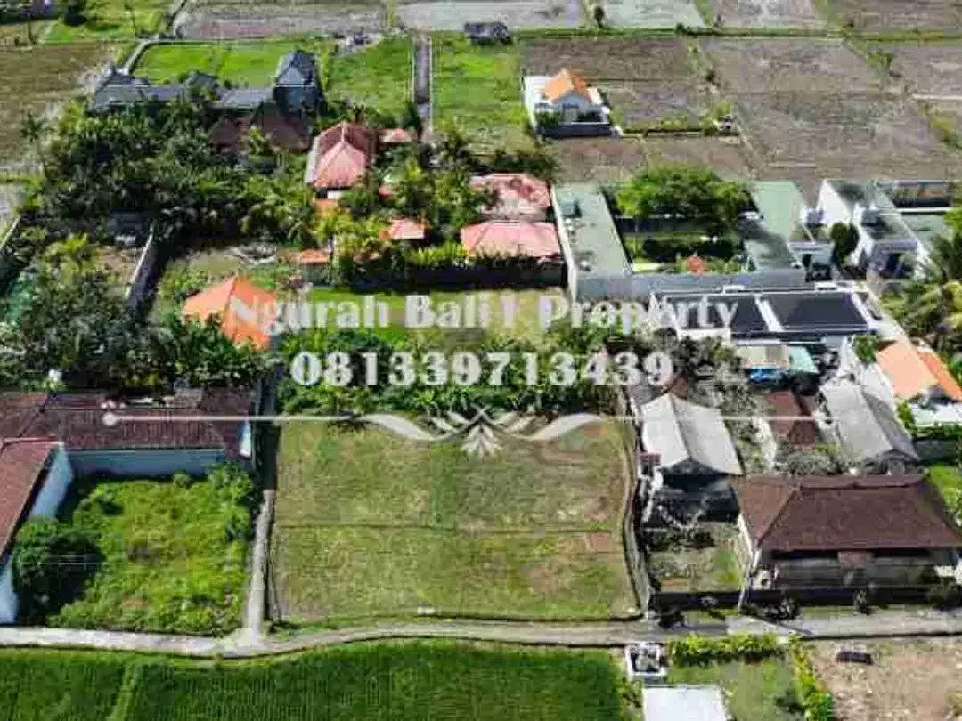 Land For Rent Murah Luas 1300 m2 Kawasan Villa di Ubud - Image 1 of 6