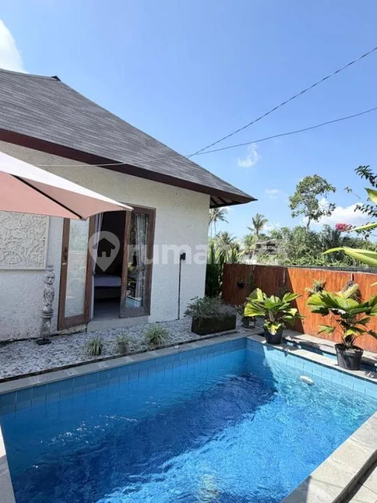 For Rent Villa Rice Field View Ubud 10 Menutes From Sentral Ubud Is In The Middle Of A Large Rice Field, Rice Field View Sayan 10 Menutes From Central Ubud Gianyar, Mongkey Forest Ubud Gianyar Bali - Image 2 of 4