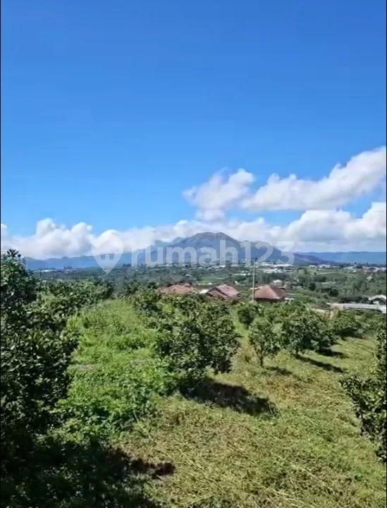Tanah Murah View Gunung Batur Kintamani Bali - Image 4 of 4