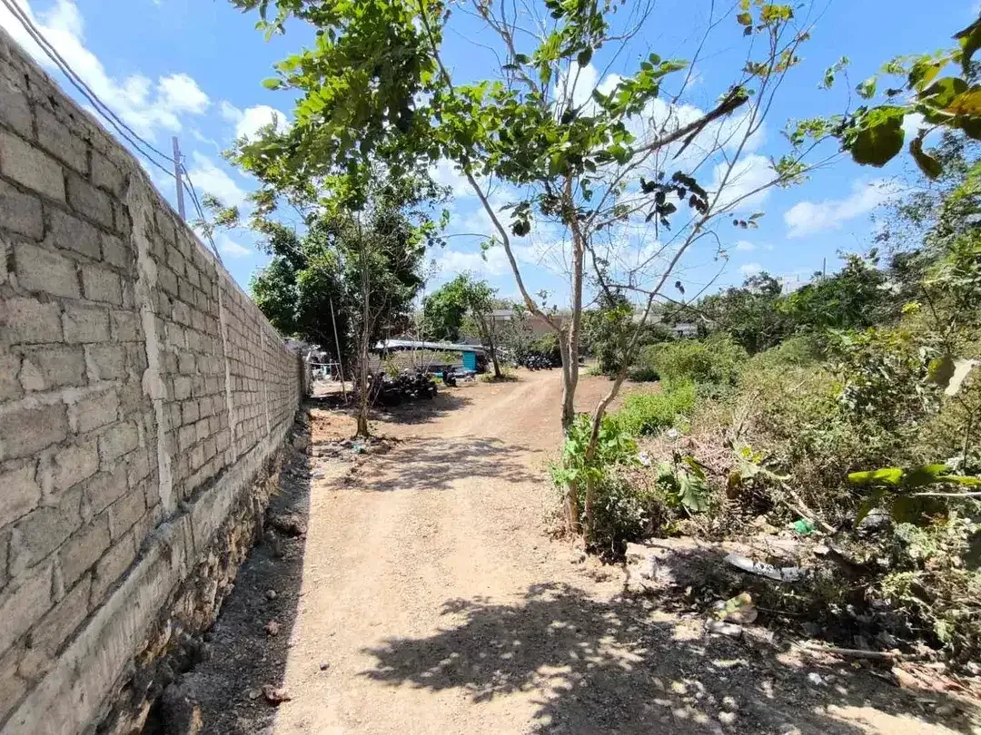 Di sewakan lahan premium dekat pantai cemongkak Uluwatu - Image 3 of 7