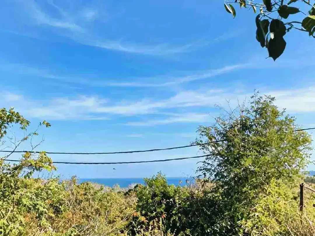 TANAH PREMIUM JALAN UTAMA KARANG PUTIH  PANDAWA KONTUR TINGGI MENGHADAP KE LAUT - Image 7 of 10