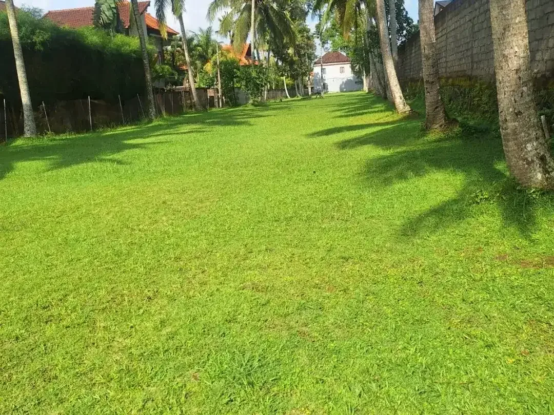 Land for sale in Ubud, Bali - Image 2 of 6