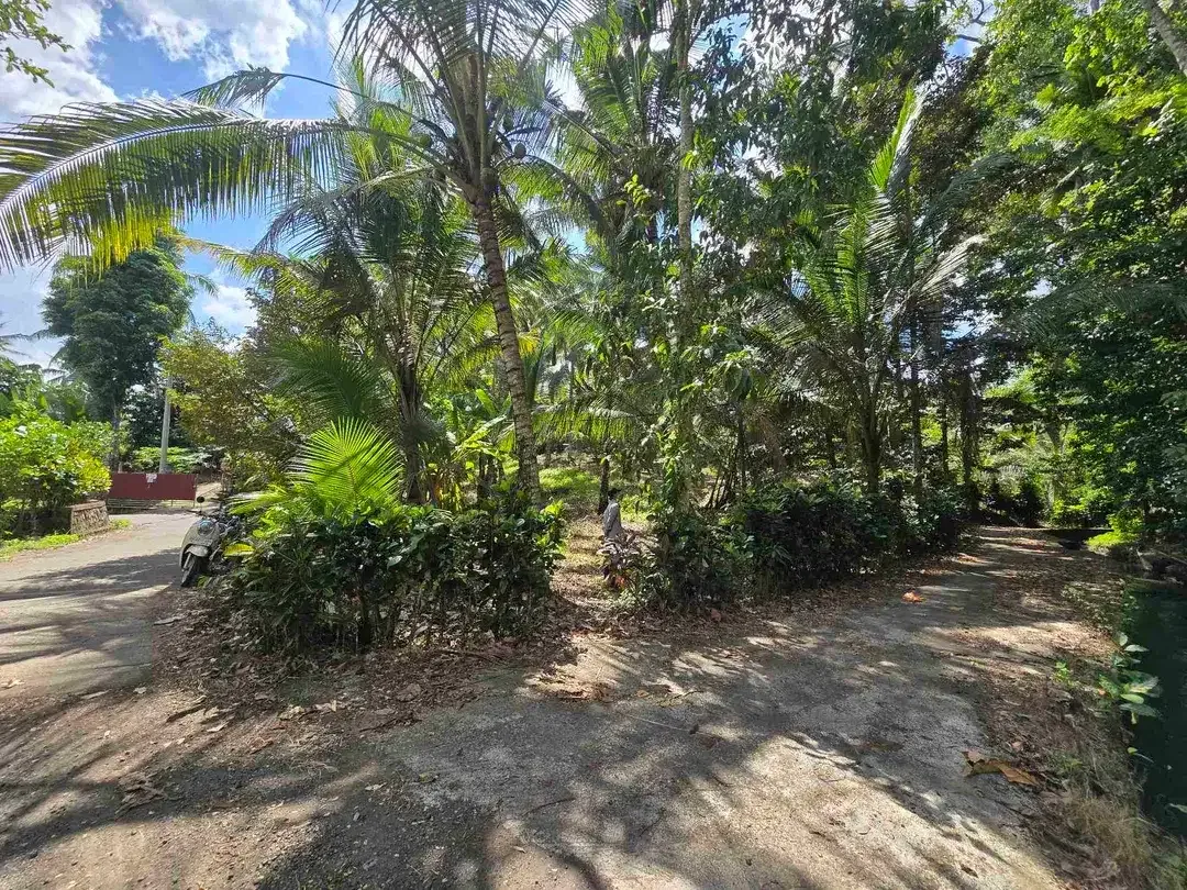 Dijual tanah datar view lambah cocok buat hunian villa di tabanan bali - Image 10 of 10