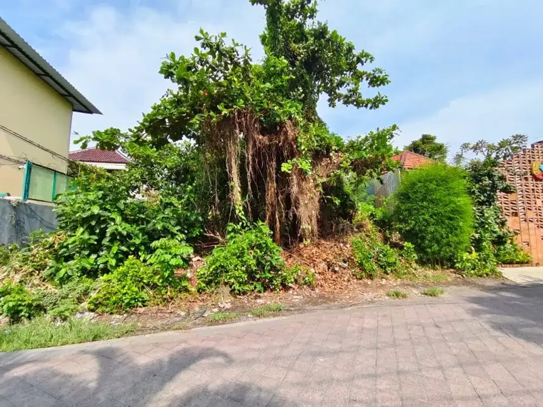Tanah Lingkungan Villa Seminyak Bali - Image 2 of 4