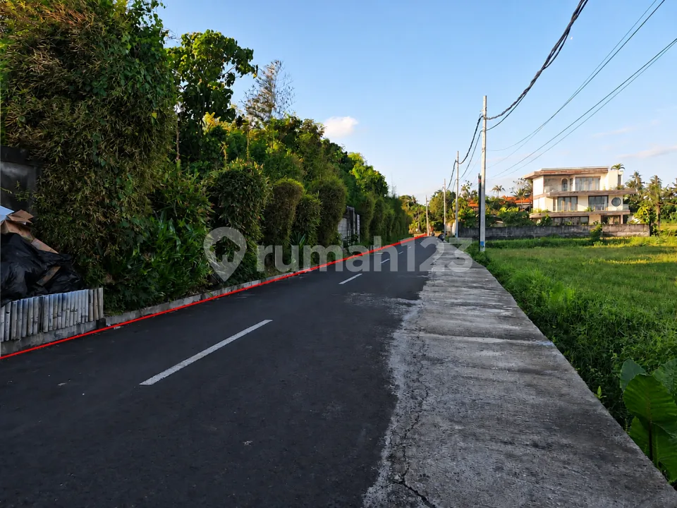 Jual Tanah Dekat Pantai Batu Tampih Kedungu Bali - Zona Pariwisata, 50 Meter ke Pantai, Cocok untuk Villa & Investasi - Image 2 of 4