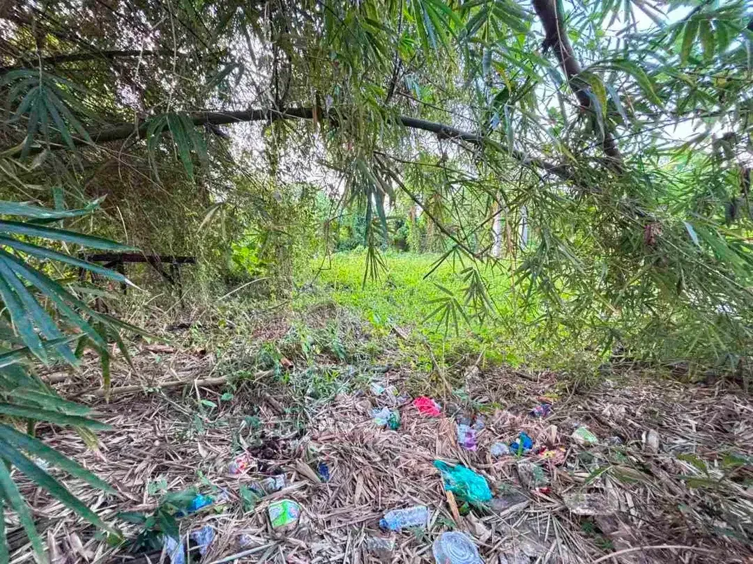 di jual tanah bagus dekat Ubud cocok untuk di kaplvling atau komplek villa - Image 6 of 8