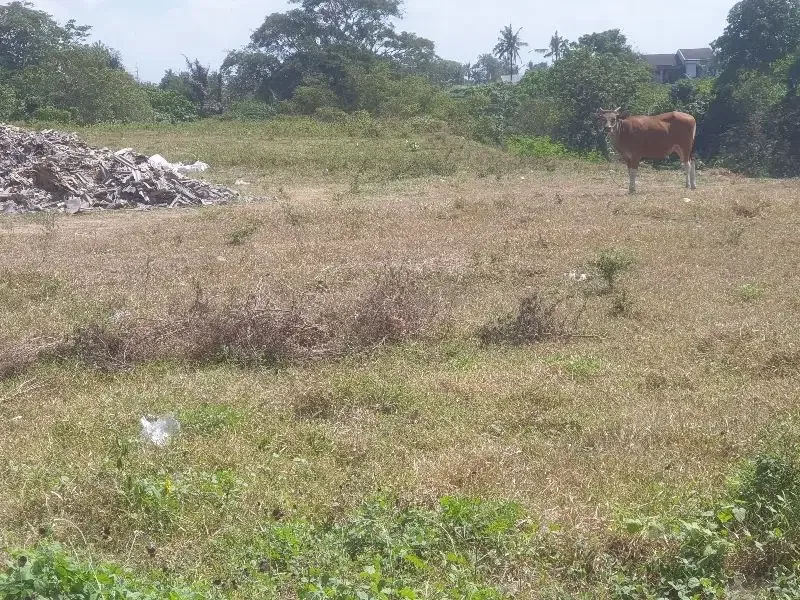 Dijual Tanah 1,2ha di pinggir Jln raya Bay Pas IB  Mantra ketewel Bali - Image 4 of 10