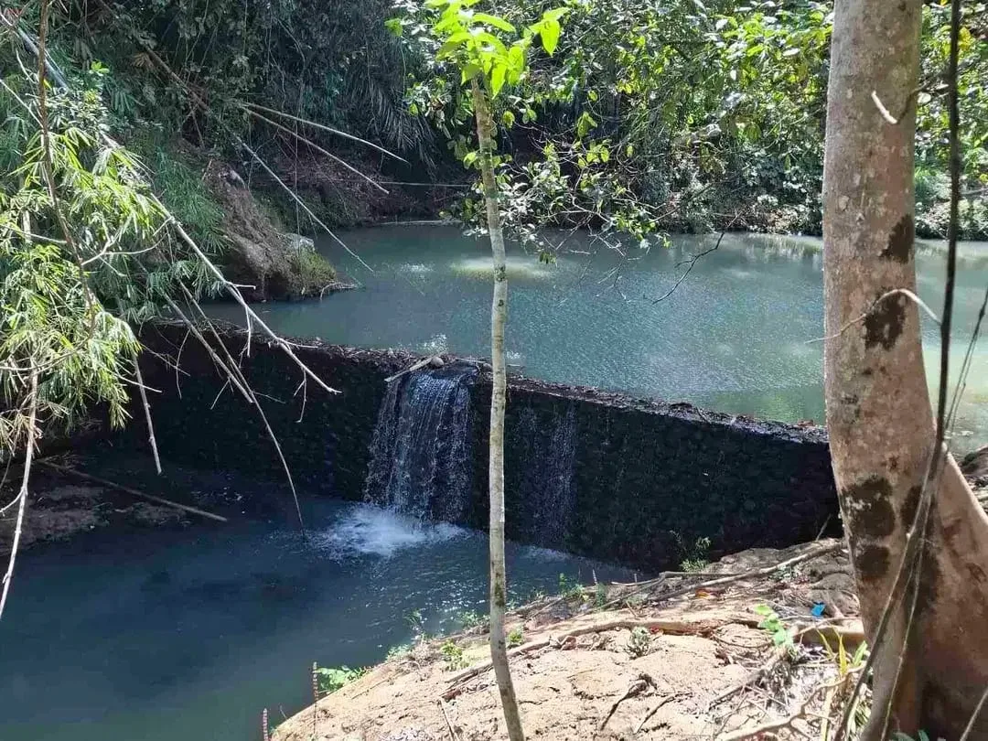 dijual tanah los sungai jernih berbatu lokasi sangat strategis dekat dengan jalan denpasar gilimanuk dijual di bawah harga pasar - Image 1 of 10