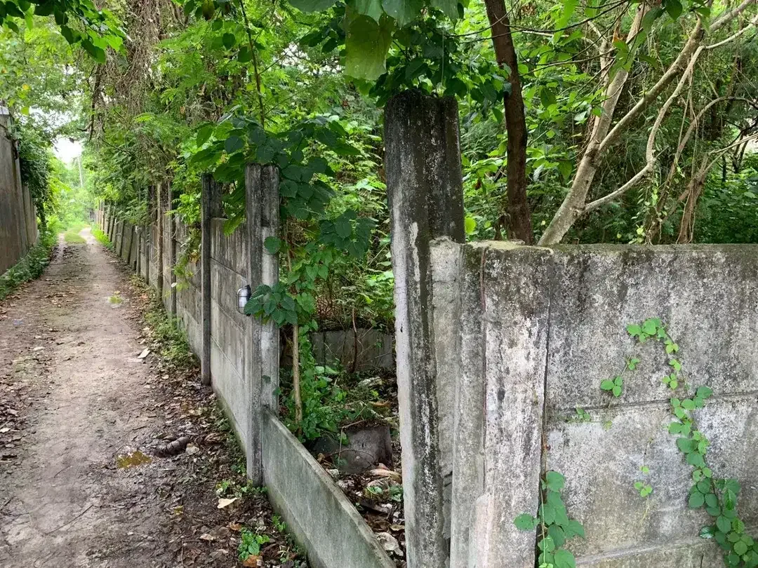 DIJUAL TANAH PINGGIR SUNGAI DEKAT PANTAI BERAWA BALI - Image 10 of 10