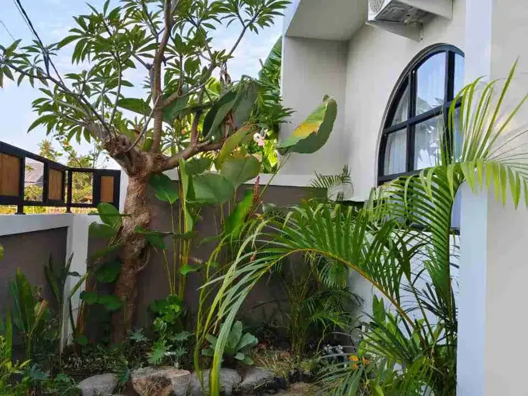 VILLA FULL FURNISH VIEW SAWAH DEKAT PANTAI LOVINA - Image 6 of 10