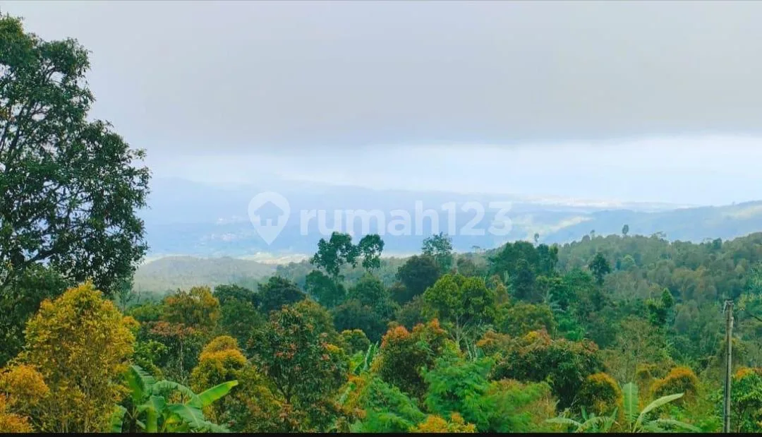 Magnificent Views Investment Opportunity Freehold Land With Unobstructed Views In Gesing - Image 2 of 4