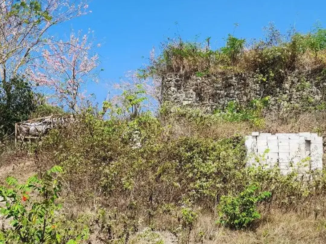 TANAH SIAP BANGUN OCEAN VIEW 1,64 HA DI BELIMBING SARI PECATU BADUNG, BALI - Image 2 of 10