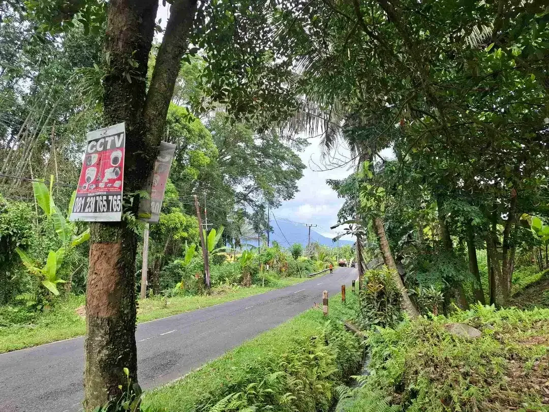tanah luasan kecil view sawah dapat akses jalan utama penebel - Image 5 of 8