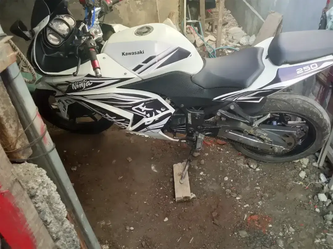 Ninja karbu 250cc - Image 2 of 5