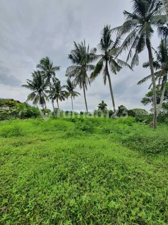 Freehold - Rare Oppotunity Exclusive Land With Rice Field Views And Riverside In Green Lot, Cemagi, Bali - Image 4 of 4