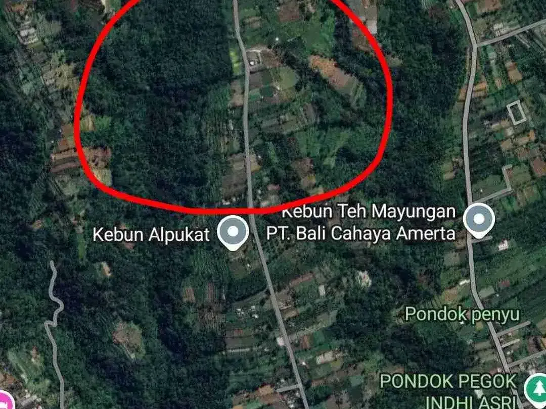 JUAL BUC TANAH GLOBAL DI BATURITI DEKAT BEDUGUL TABANAN - Image 6 of 6