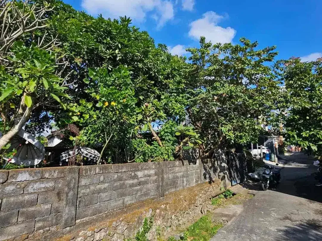 Dijual lahan luasan kecil view sawah Padonan - Image 1 of 3