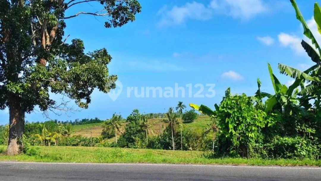 Tanah Raya Denpasar Gilimanuk Selemadeg Tabanan - Image 3 of 4