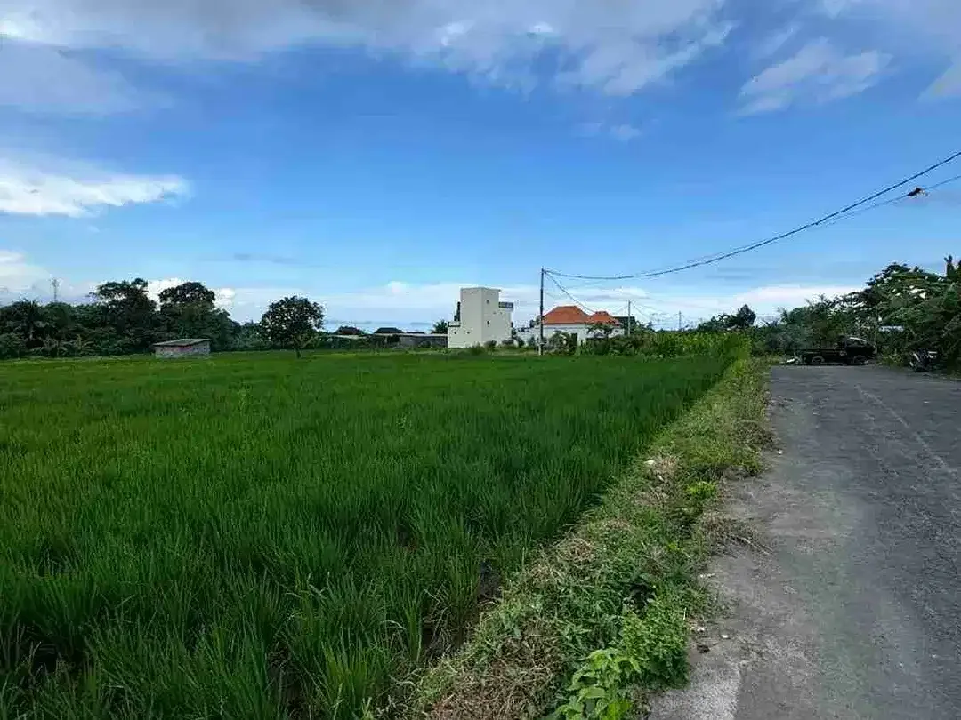 Tanah View Sawah Cantik di Ketewel Dekat Pantai dan Sekolah Internasional - Image 7 of 8