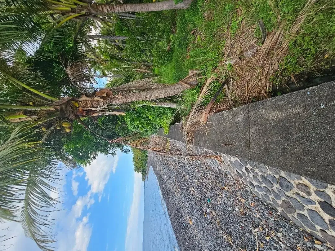dijual murah tanah pinggir pantai  dekat airport yang akan di bangun - Image 6 of 10
