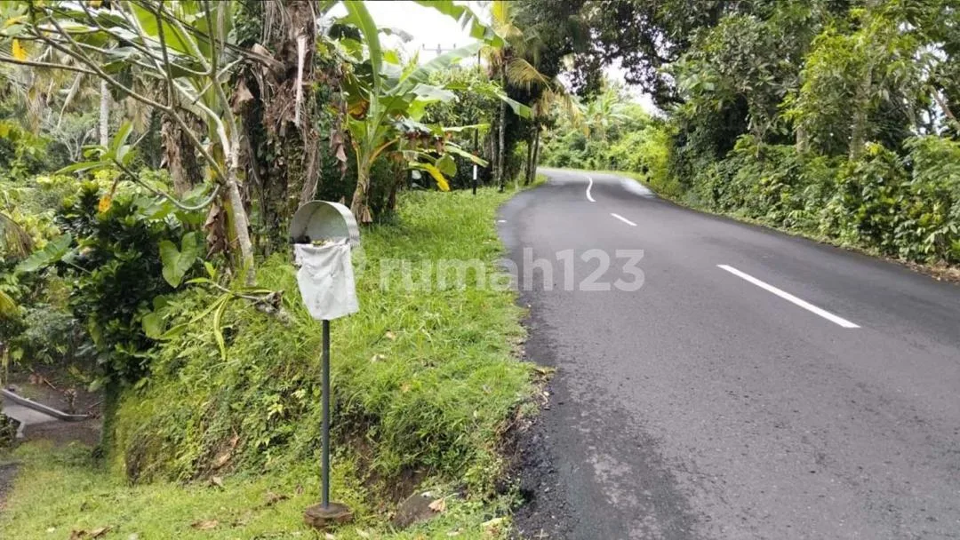 Di Jual Tanah Kebun Lokasi Surabrata Selemadeg Barat - Image 1 of 4