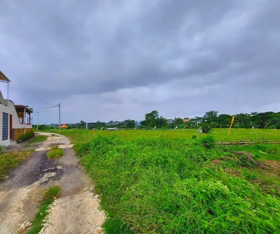 FOR SALE LAND WITH RICE FIELD VIEW AT BERAWA CANGGU - Image 3 of 10