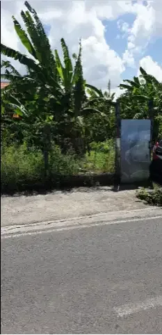 Tanah dekat finn beach berawa canggu bali - Image 2 of 10