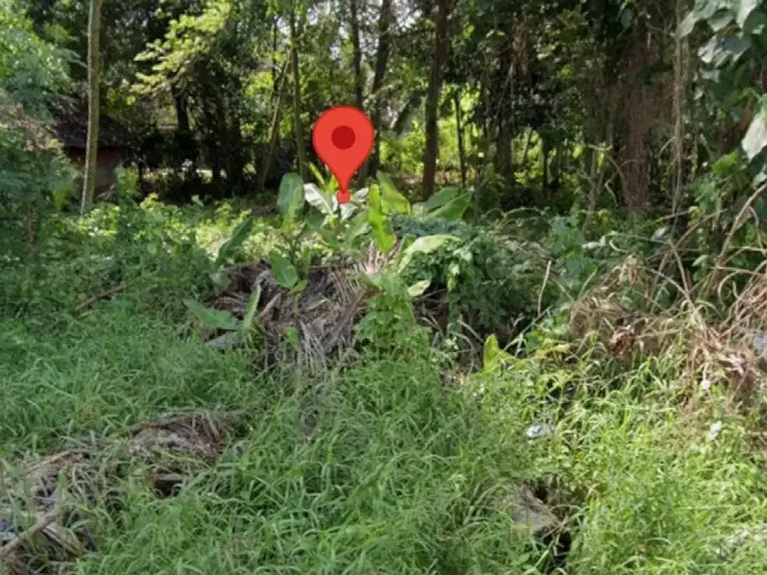Land for sale in Kaba Kaba, Bali - Image 2 of 4