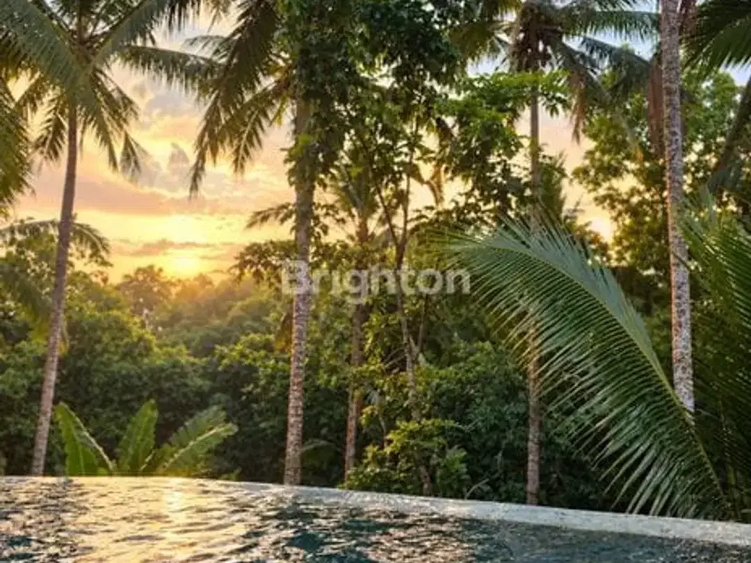 VILLA FULLY FURNISHED VIEW RICEFIELD 2 BEDROOM IN UBUD - Image 8 of 8