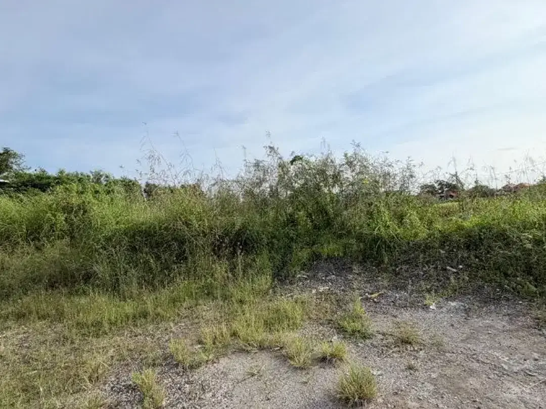 LEASEHOLD TANAH DEKAT PANTAI CEMAGI MENGWI BADUNG - Image 6 of 10