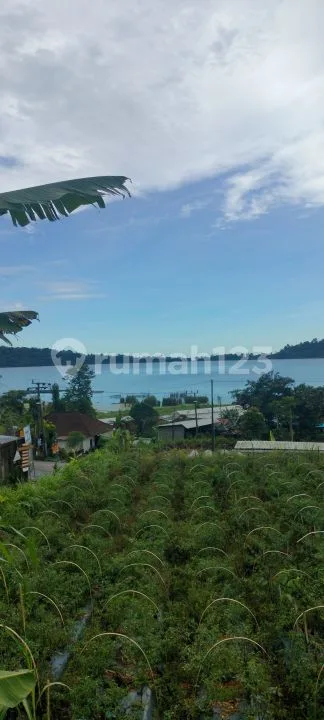 Premium Hook 1000mÂ² Tanah View Danau Beratan Bedugul Bali - Image 4 of 4