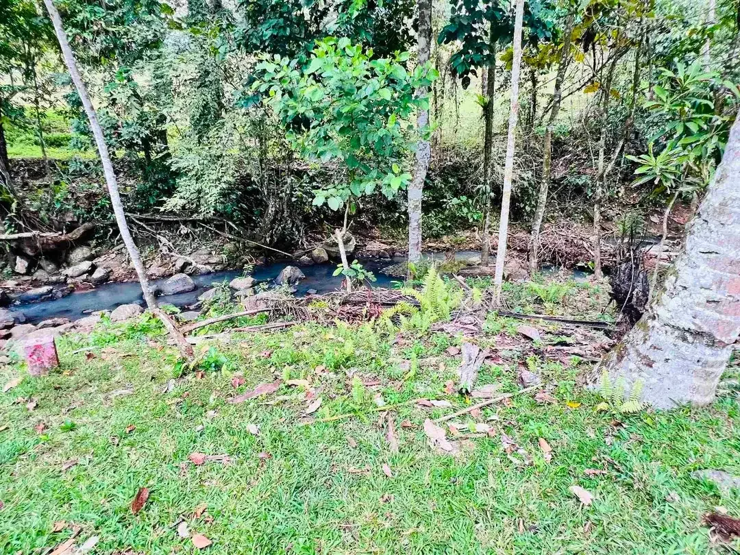 jual tanah Los sungai cantik di kawasan villa di desa manikyang tabanan bali. - Image 3 of 10