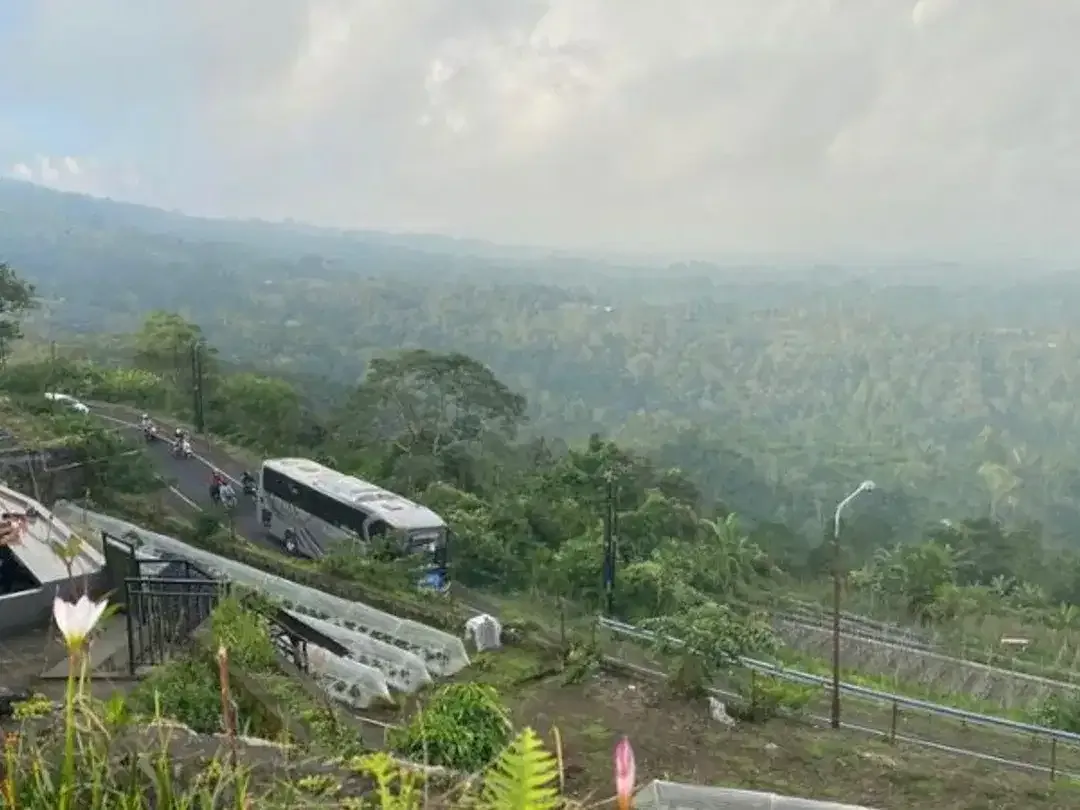TANAH COCOK UNTUK KEBUN VILLA LOKASI BAGUS DI BEDUGUL TABANAN - Image 4 of 4