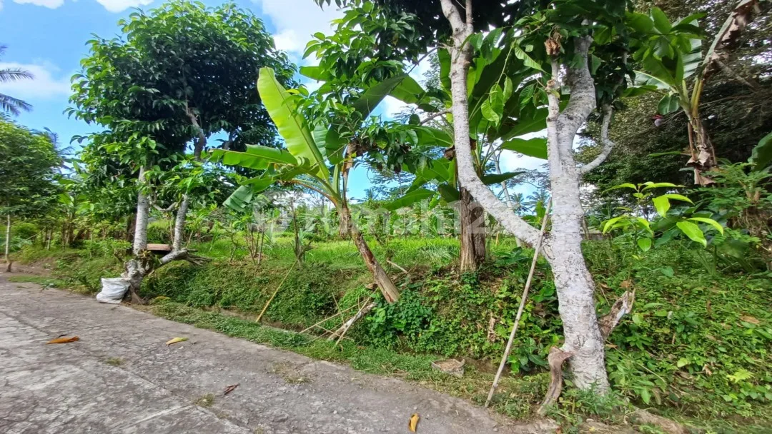 Dijual Tanah Kawasan Villa Di Ubud Central view pedesaan - Image 3 of 4
