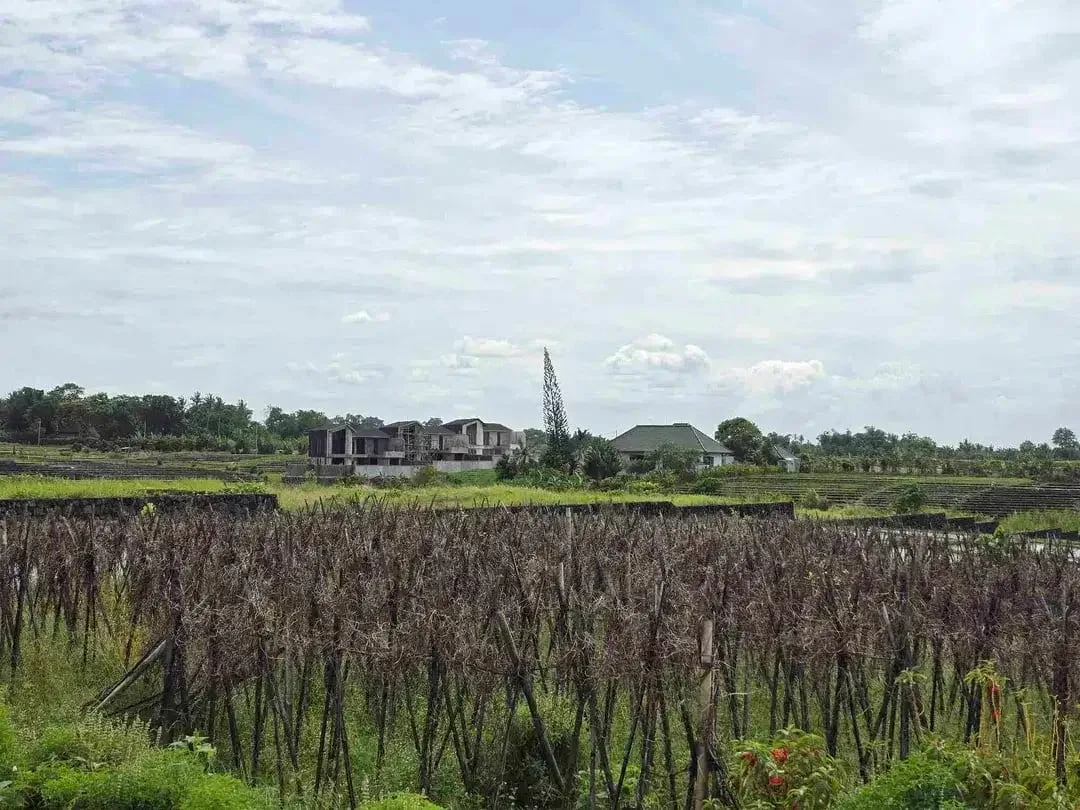 Dijual tanah kecil murah dekat pantai pasut tabanan bali - Image 9 of 10