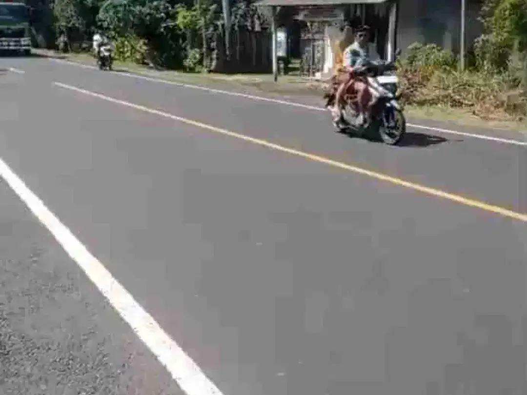 TANAH MURAH JALAN DENPASAR GILIMANUK YEH EMBANG NEGARA COCOK UNTUK USAHA DLL - Image 1 of 7