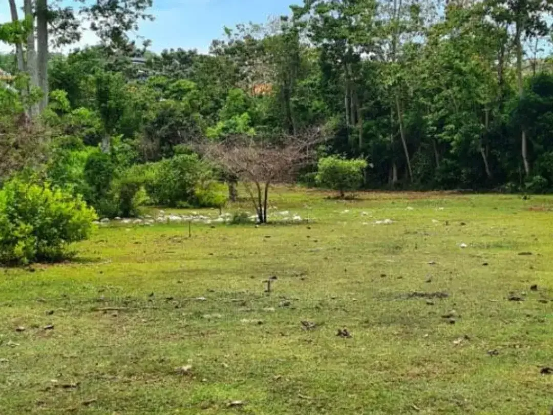 LEASEHOLD TANAH DATAR SIAP BANGUN DI ANCAK SARI PECATU BADUNG, BALI - Image 3 of 8